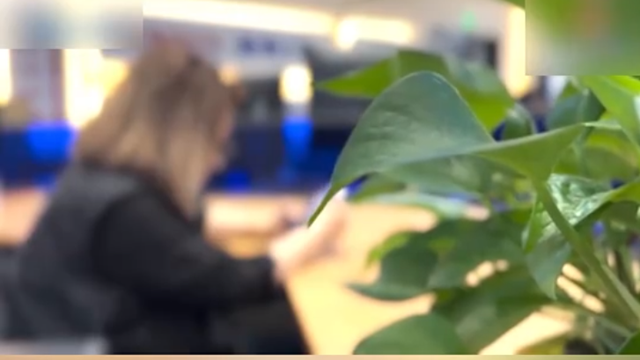 女子愛上純情男主播，兩年打賞1400多萬，竟把自己弄到鋃鐺入獄