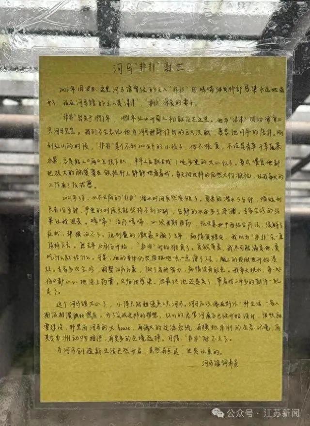 河馬“非非”離世，飼養(yǎng)員手寫訃告打動眾人