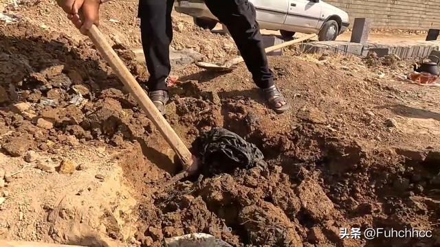 伊朗法院的誤判？米娜與前夫的較量背后，孩子們的命運(yùn)何去何從？