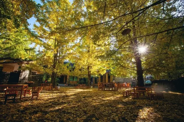 十月，騰沖之秋：去這幾個(gè)地方 你就能感受到驚艷之美