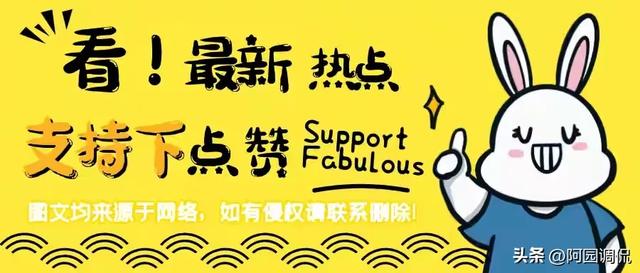 恒源祥直播翻車？女主播穿蕾絲吊被質(zhì)疑“擦邊”！網(wǎng)友：誰質(zhì)疑的