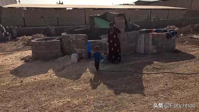 伊朗法院的誤判？米娜與前夫的較量背后，孩子們的命運(yùn)何去何從？