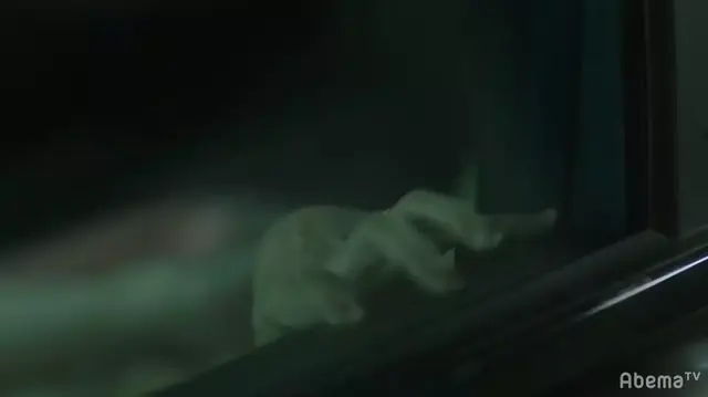 撕開(kāi)網(wǎng)絡(luò)直播底褲的電影，反轉(zhuǎn)實(shí)在太大了