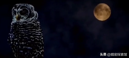 盤點臺灣十大實力派女歌手：月亮公主孟庭葦上榜，葉倩文僅排第二