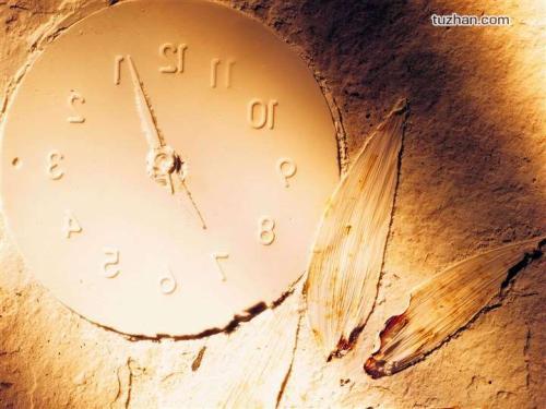 你想對18歲的自己說些什么