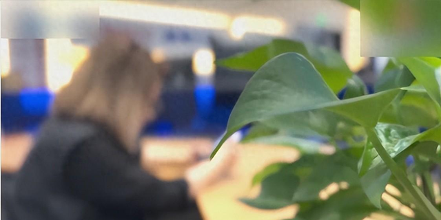 女子愛上純情男主播，兩年打賞1400多萬，竟把自己弄到鋃鐺入獄