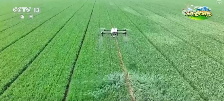 “把脈會(huì)診”助力智慧田管 “數(shù)智”良方奪高產(chǎn) 農(nóng)業(yè)煥發(fā)新活力