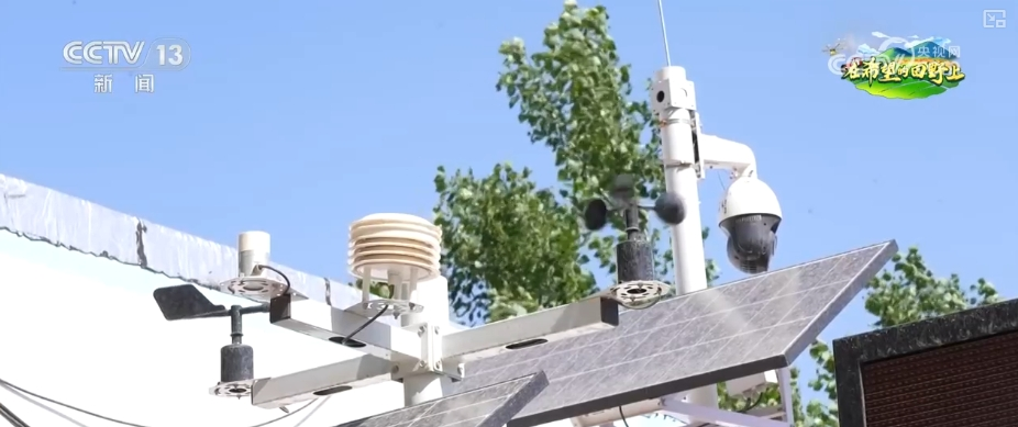 “把脈會(huì)診”助力智慧田管 “數(shù)智”良方奪高產(chǎn) 農(nóng)業(yè)煥發(fā)新活力