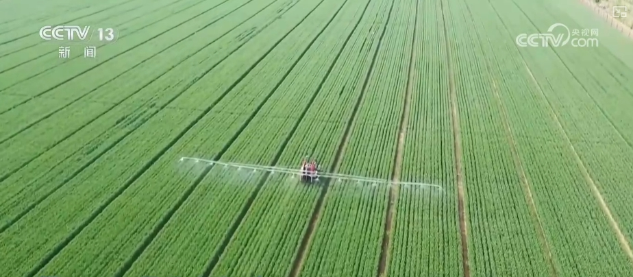 “把脈會(huì)診”助力智慧田管 “數(shù)智”良方奪高產(chǎn) 農(nóng)業(yè)煥發(fā)新活力