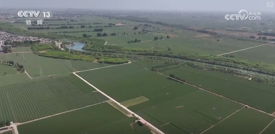 “把脈會(huì)診”助力智慧田管 “數(shù)智”良方奪高產(chǎn) 農(nóng)業(yè)煥發(fā)新活力