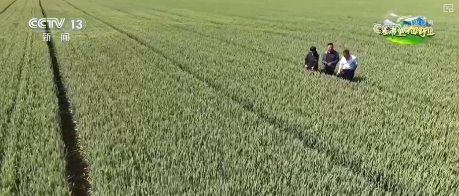 “把脈會(huì)診”助力智慧田管 “數(shù)智”良方奪高產(chǎn) 農(nóng)業(yè)煥發(fā)新活力