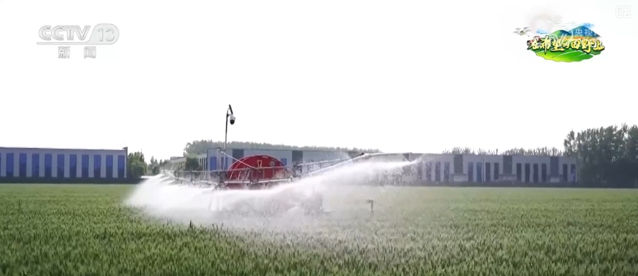 “把脈會(huì)診”助力智慧田管 “數(shù)智”良方奪高產(chǎn) 農(nóng)業(yè)煥發(fā)新活力