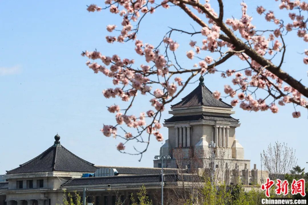 吉林大學(xué)，太寶藏了吧！