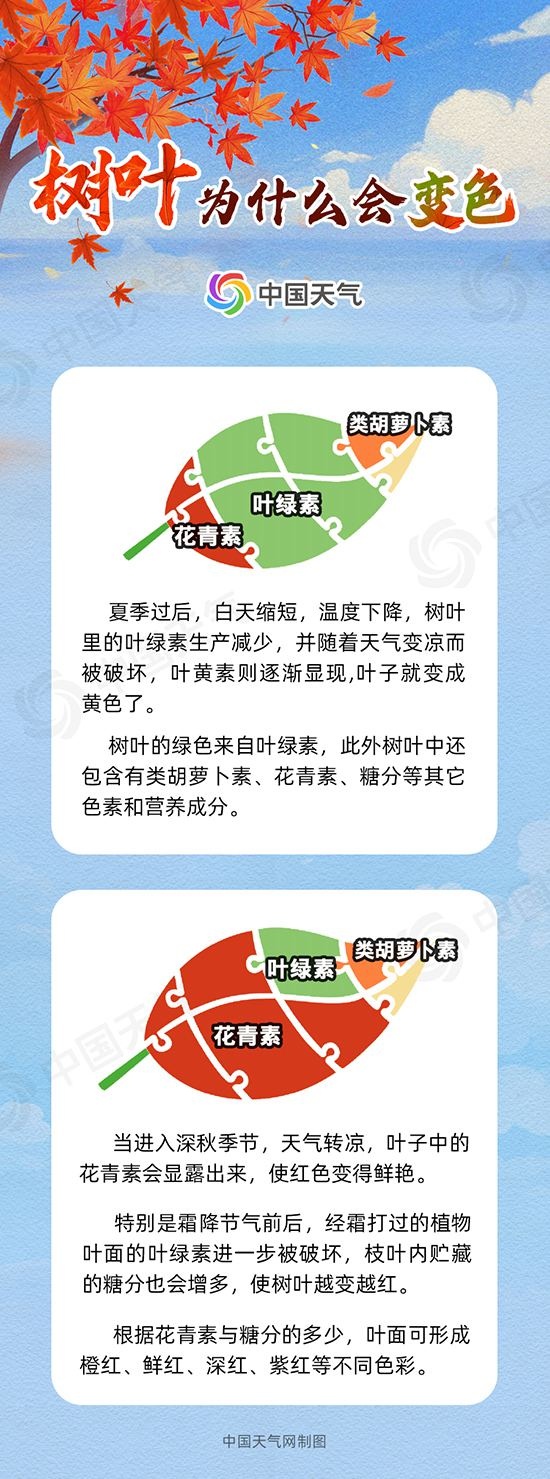 全國(guó)賞紅葉地圖出爐 十大觀賞地帶你體驗(yàn)不同秋色